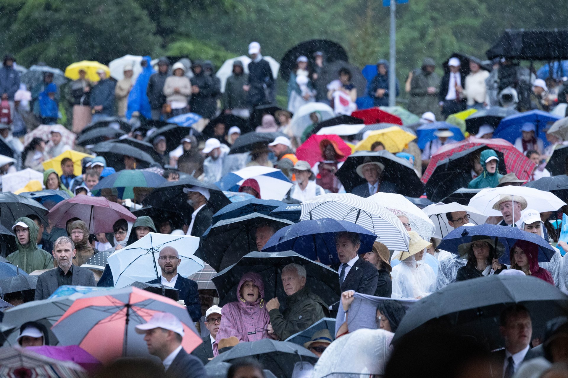 Clergy and seminarians process to the …