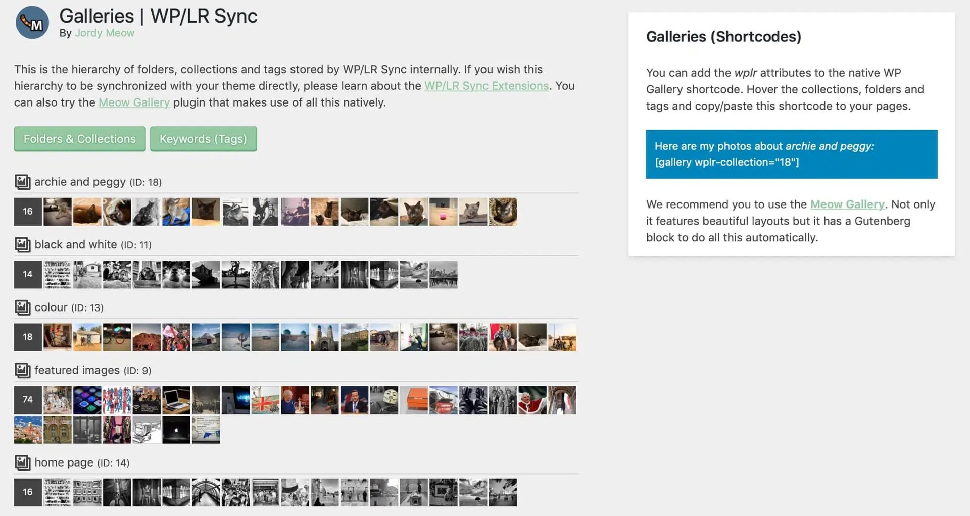 The settings panel for the WP/LR Sync …